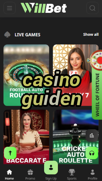 Casino Guiden - Ultimate Casino Guide-www.bdqngd.com